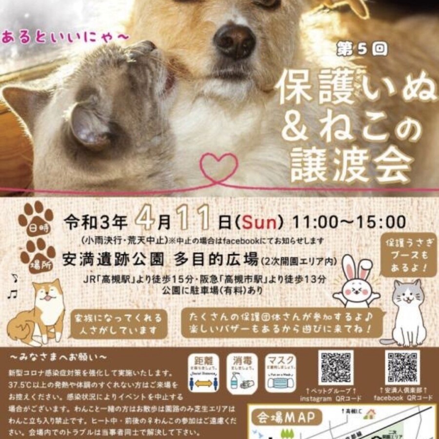 Npo法人 はぴねすｄｏｇ 犬の里親募集 関西 大阪で犬の保護活動を行うnpo法人 はぴねすｄｏｇ