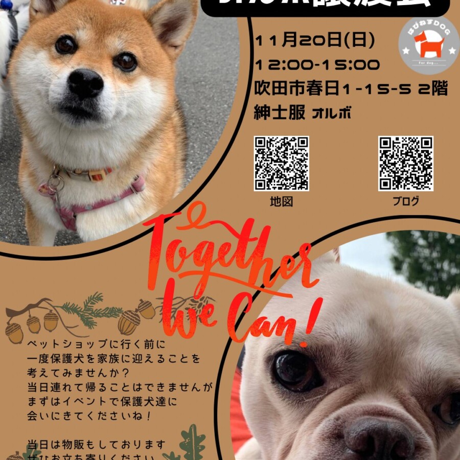 Zcwupstbrpqatm