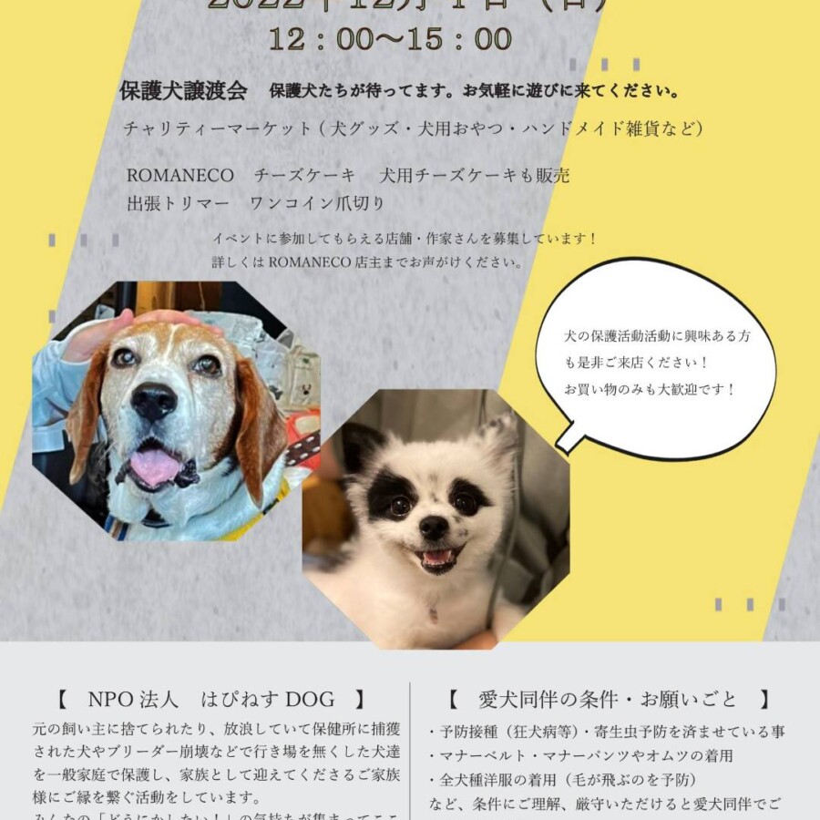 スポーツサ Nimo様 Vhqqw M にでもあわ