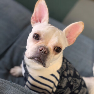 くるみ 100DaysSavingChallenge フレブル はじめまして。フレブル の