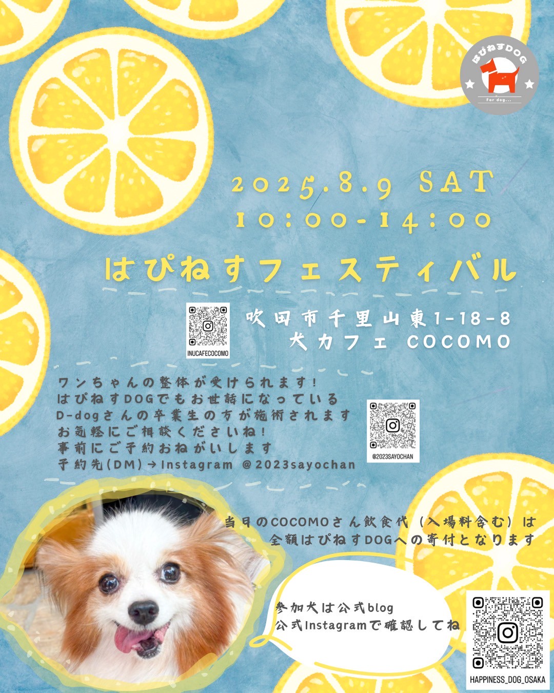 2508_COCOMO