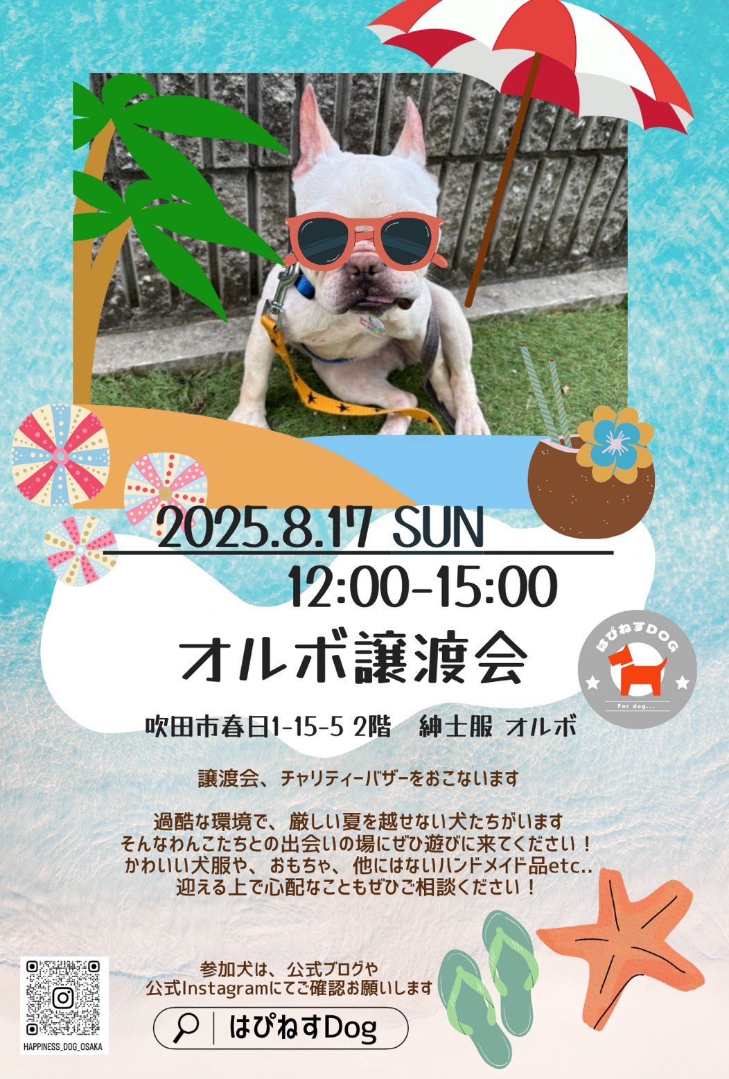 2508_オルボ