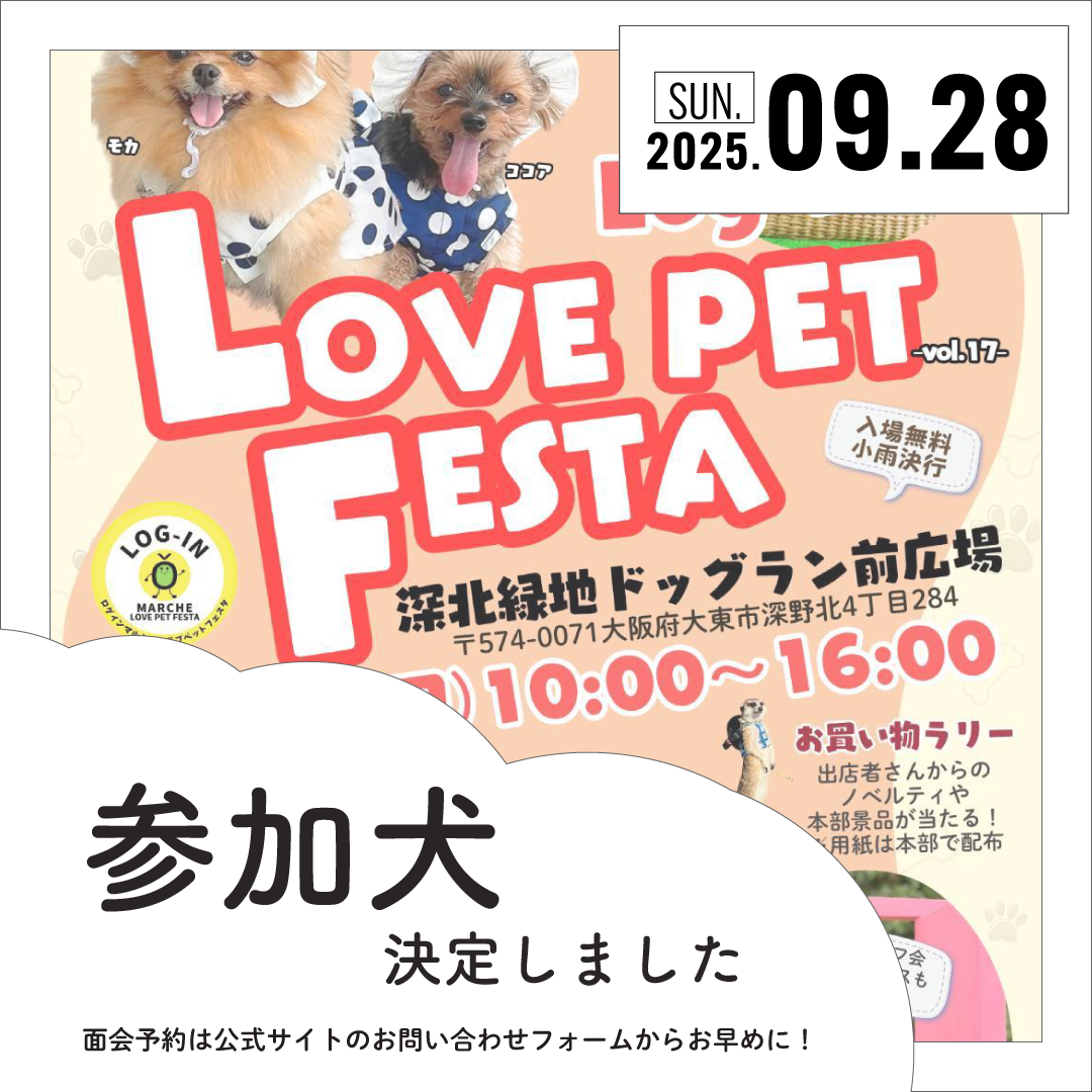 2509_LoginLOVEPET