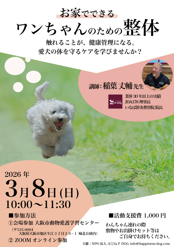 2603_スキルアップセミナー