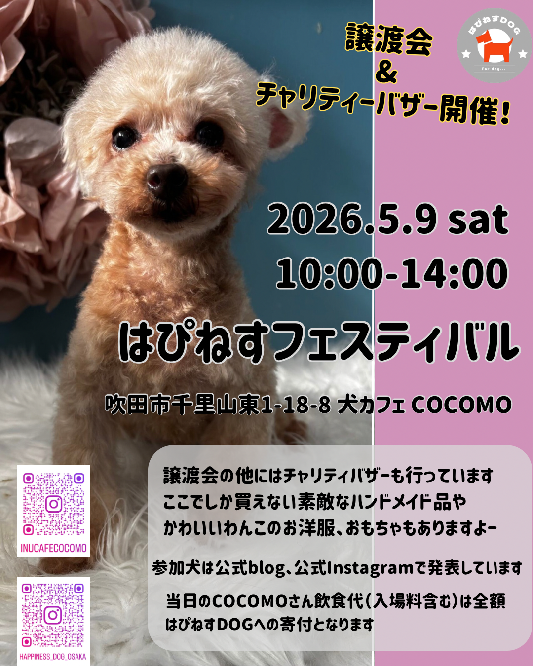2605_COCOMO