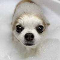 ミーナママ