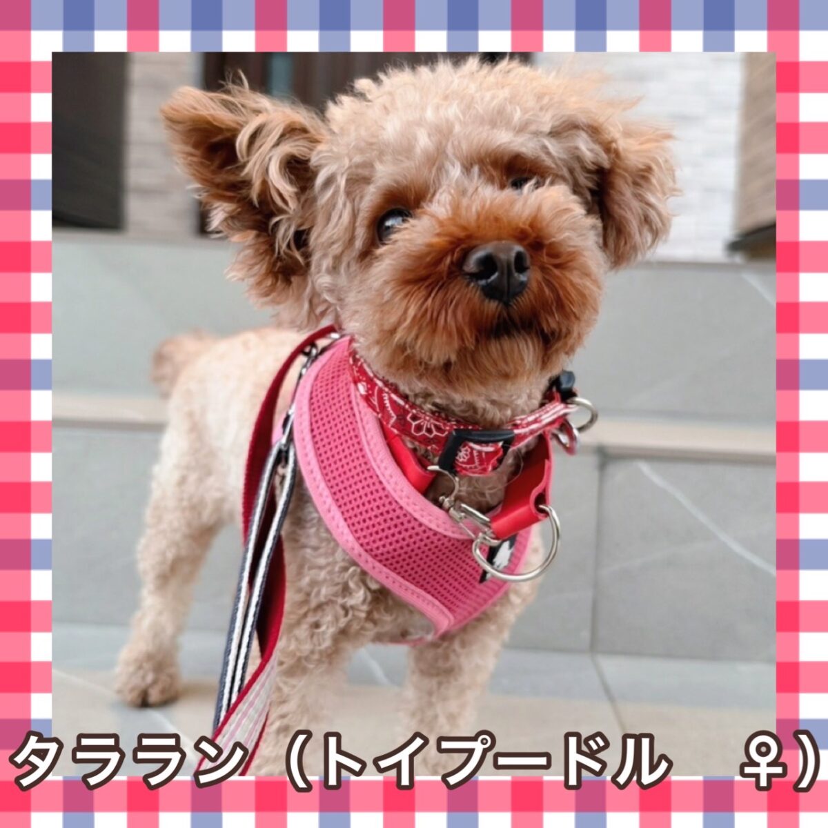 タララン